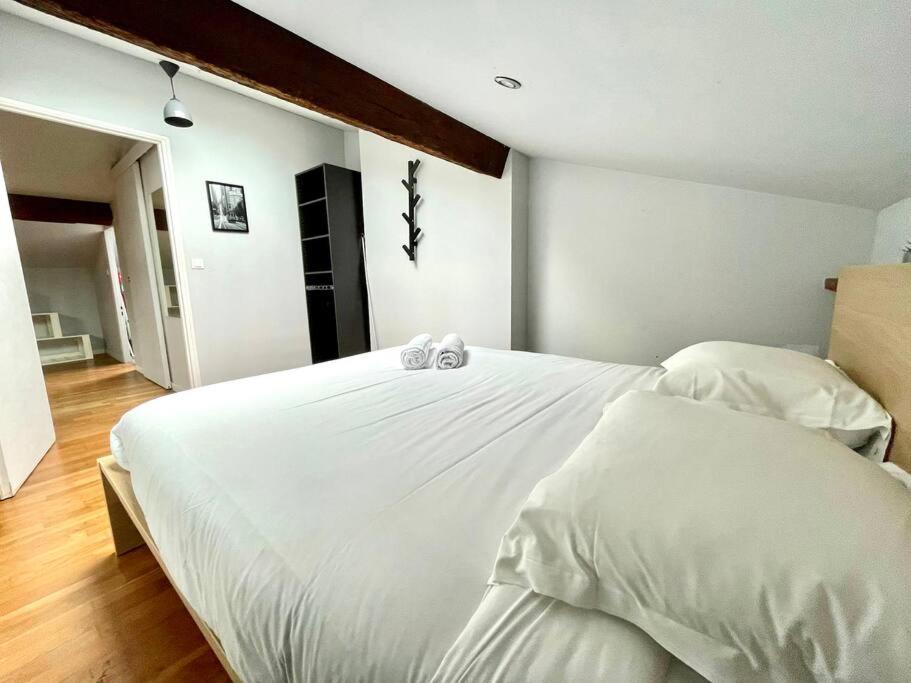 Le Charmeur - Appartement Climatise Avec 2 Chambres - Hypercentre Tolosa Esterno foto